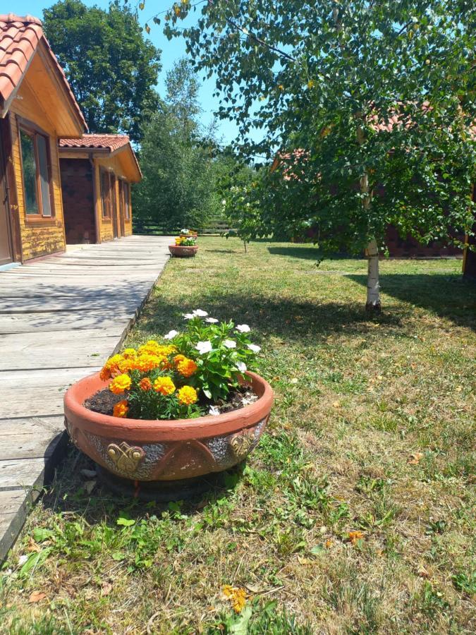 Вилно селище МИРОВЕЦ Maluk Izvor  Екстериор снимка